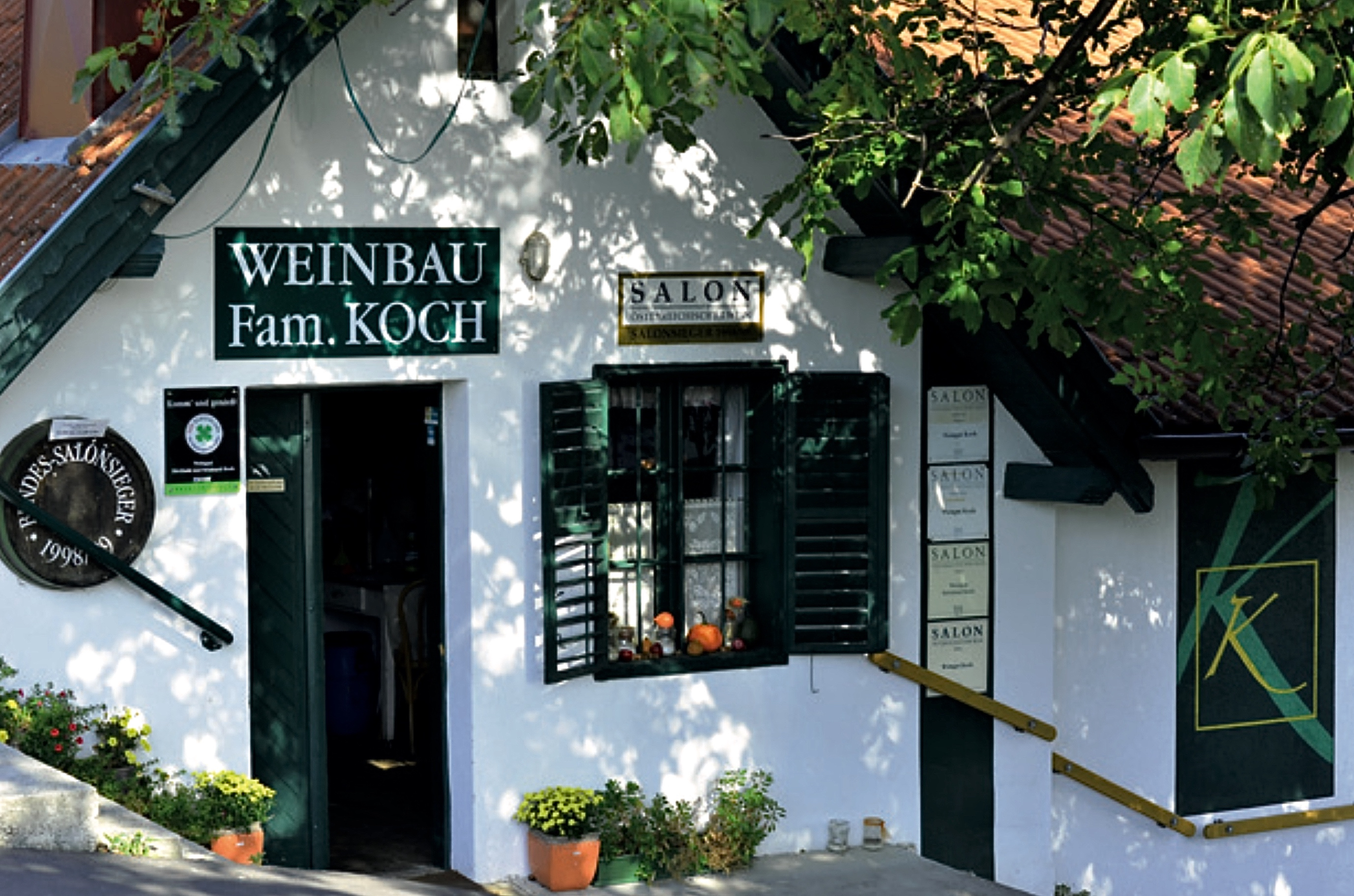 Weinbau Koch im Südburgenland. Weinidylle