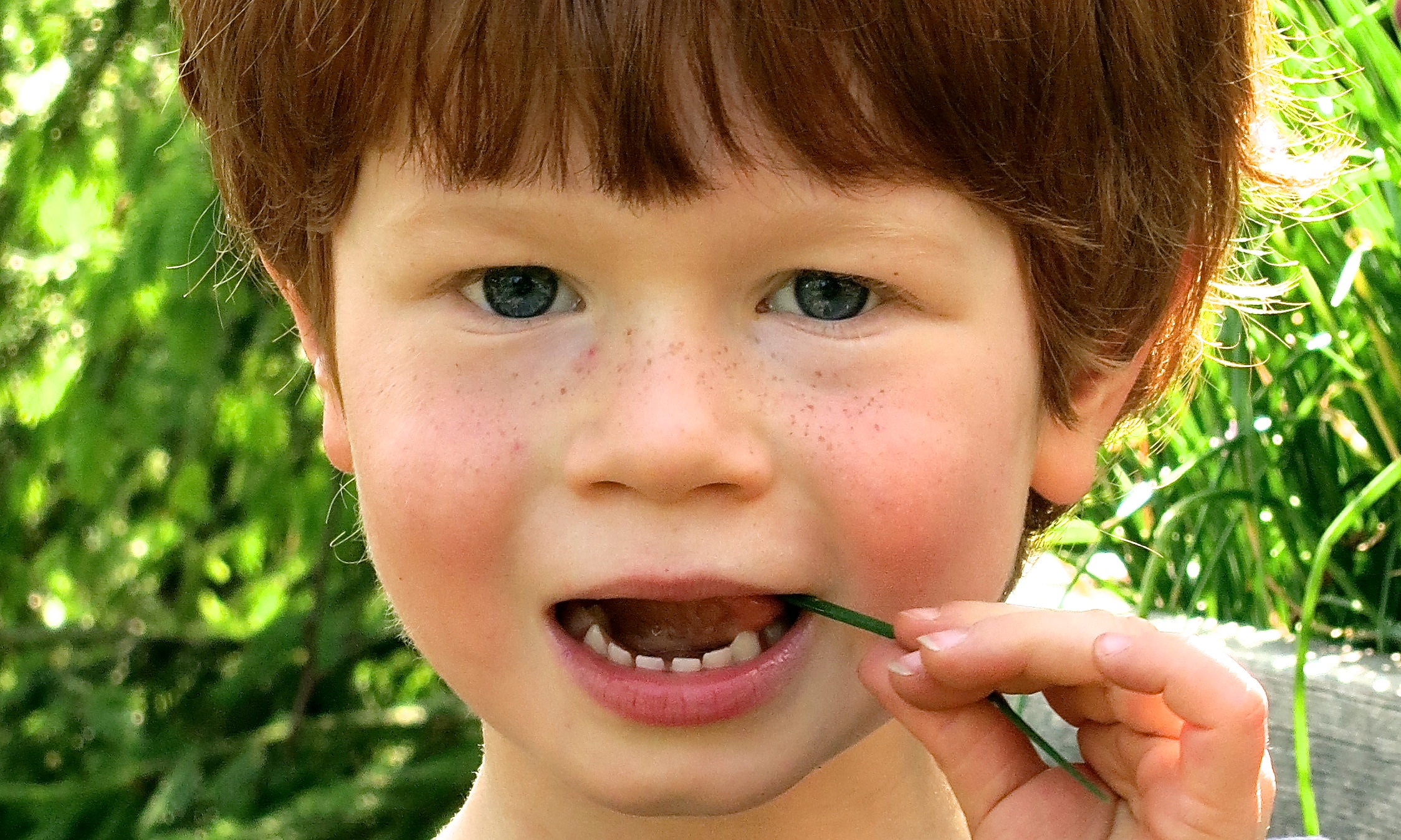 Kleiner rothaariger Junge mit Grashalm im Mund