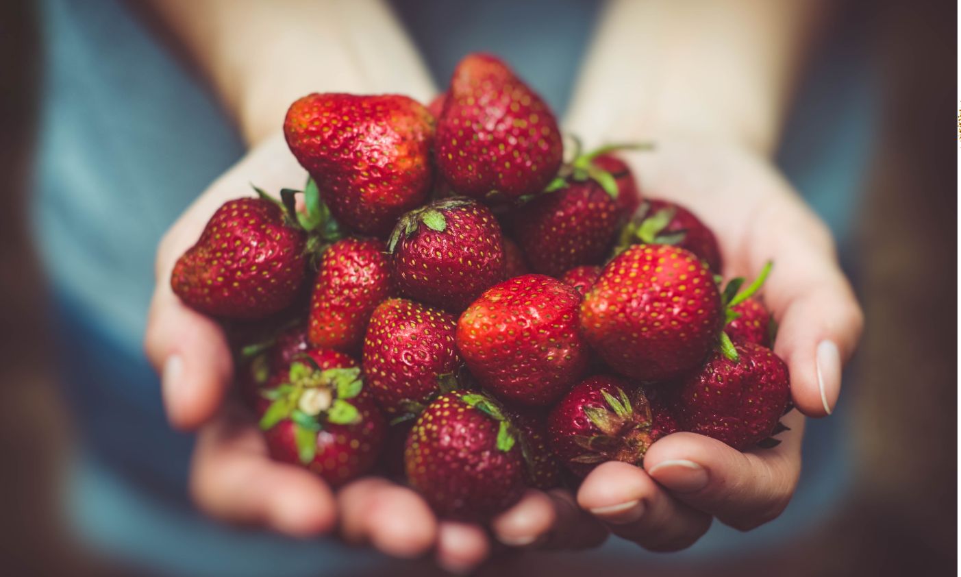 Hand mit Erdbeeren