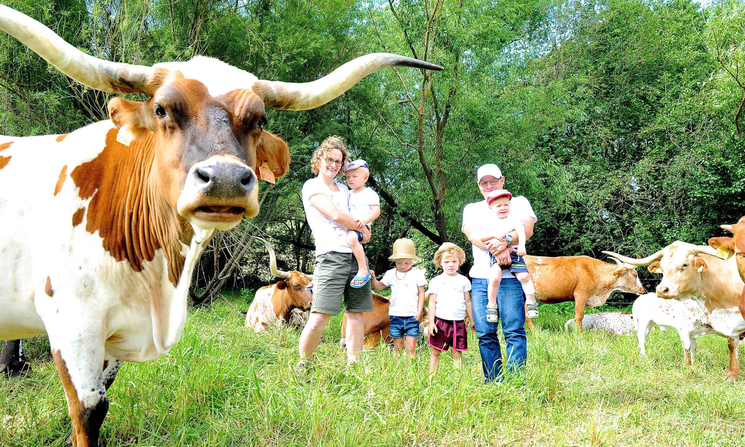 Familie auf der Weide mit Texas Longhorn Rindern
