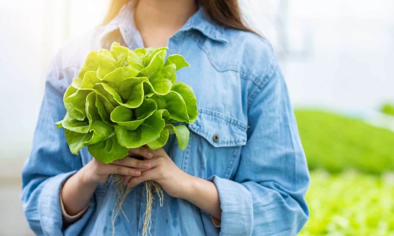 Frau hält einen Kopf Salat