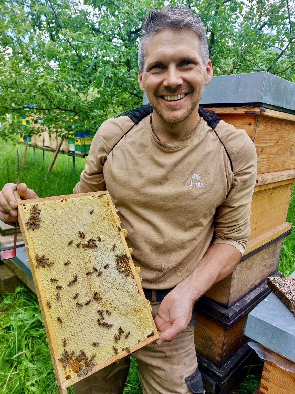 Kostbarer Bio-Blütenhonig - Bauernladen