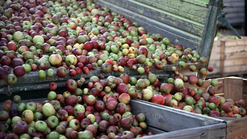 Apfel Presse