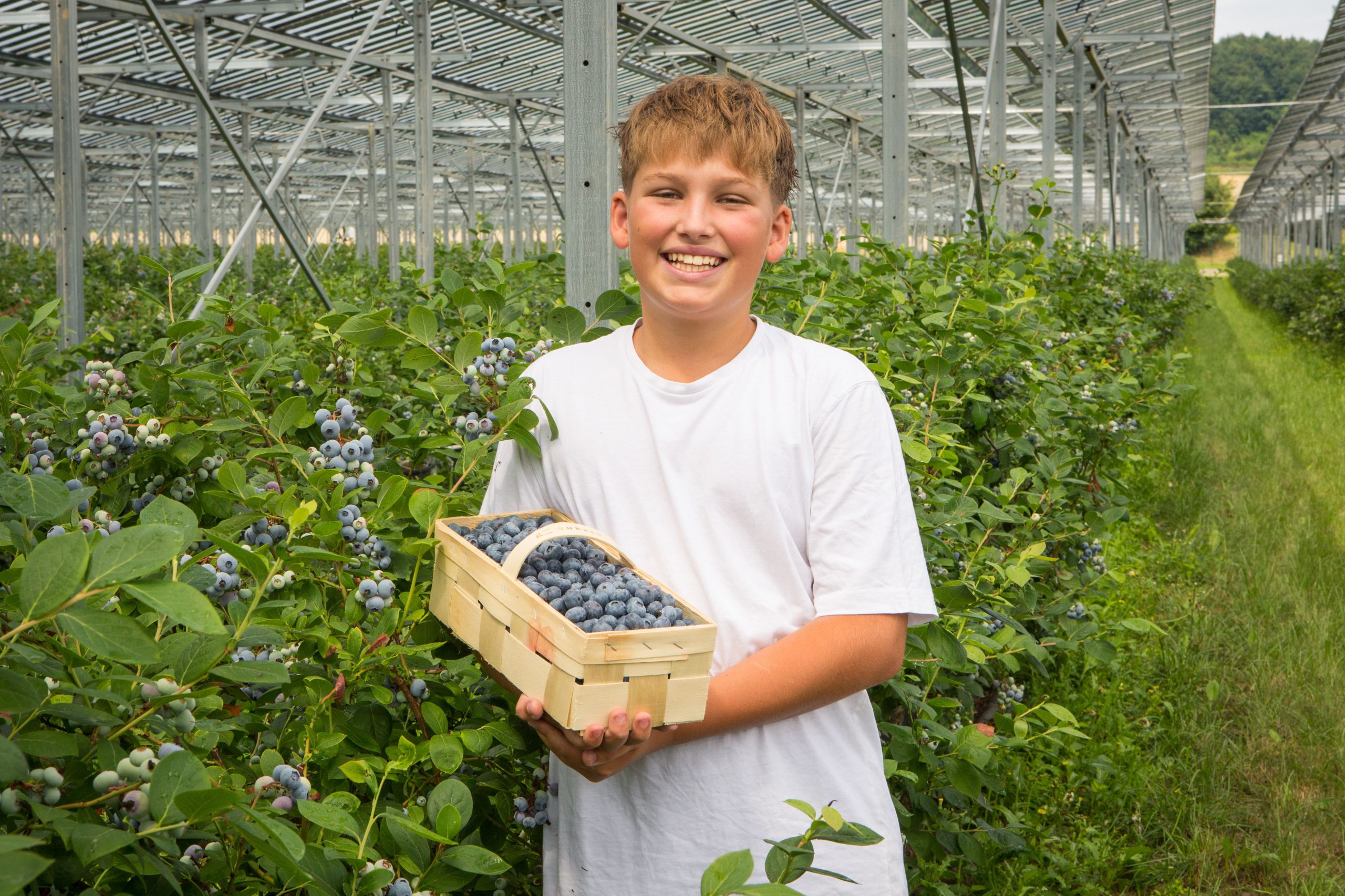 Bub mit selbstgepflückten Heidelbeeren bei Wurzers