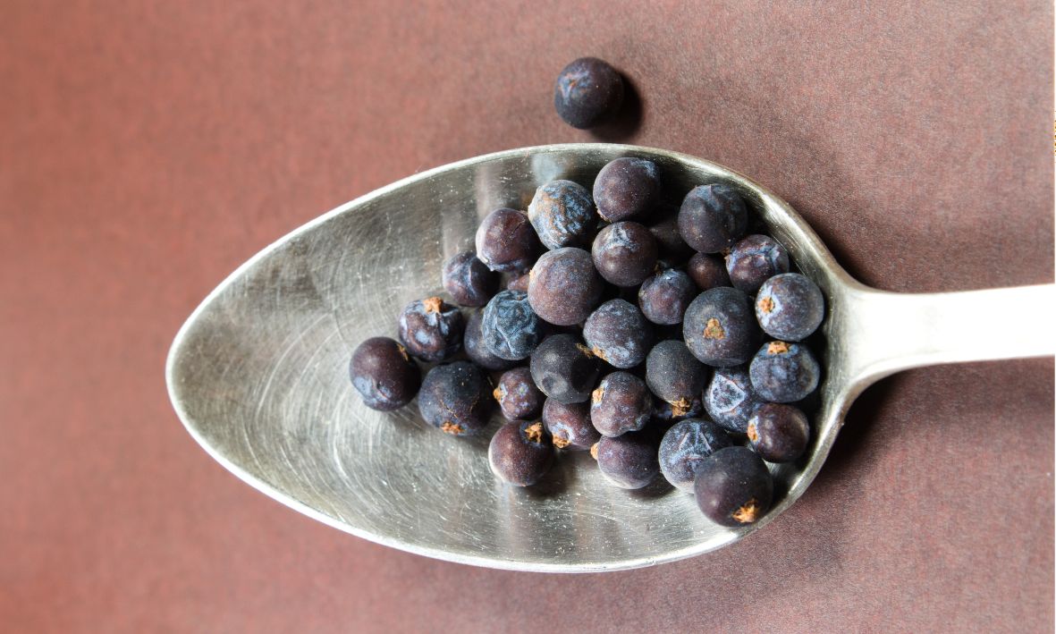 Wacholderbeeren auf einen Löffel