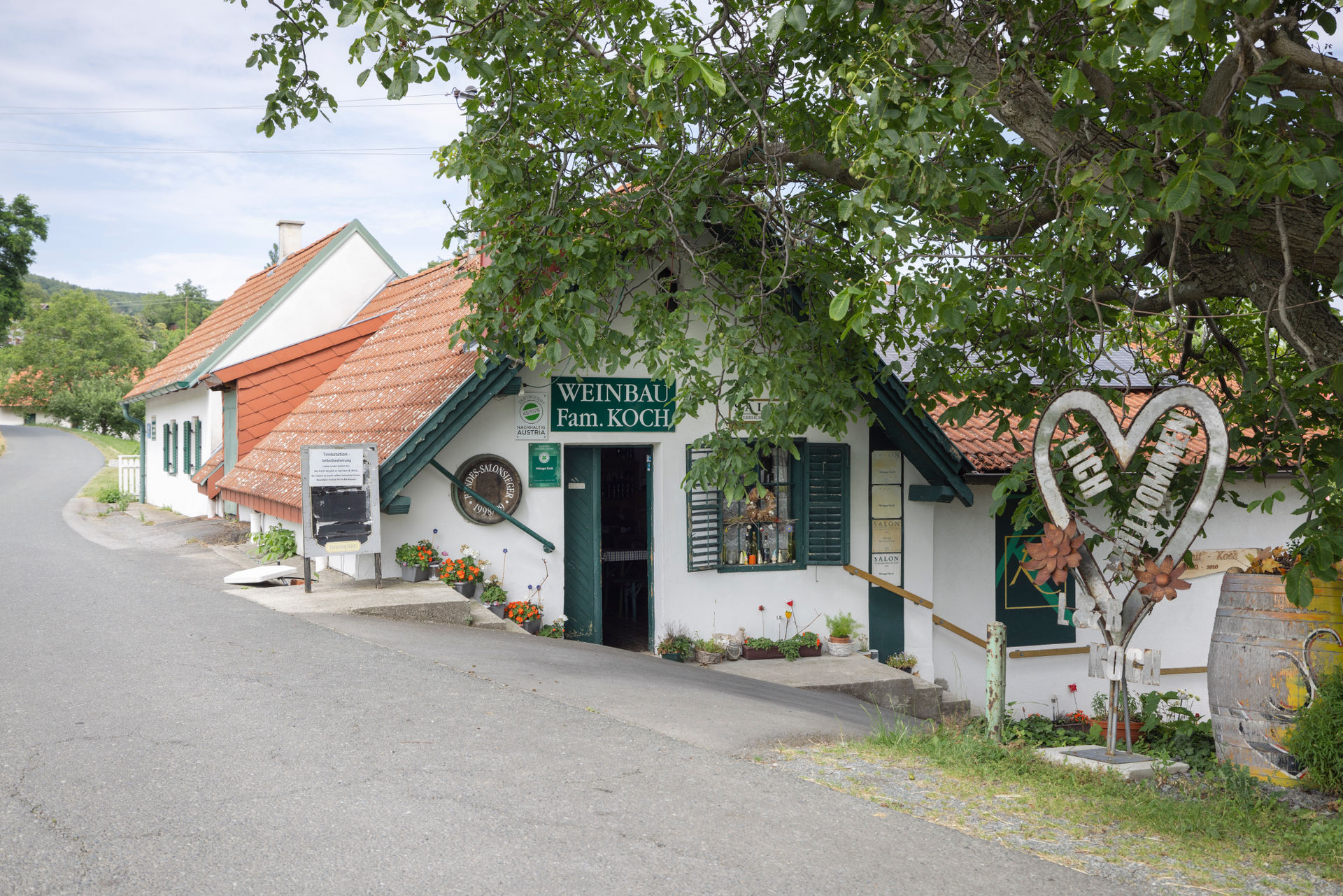 Weingut Koch